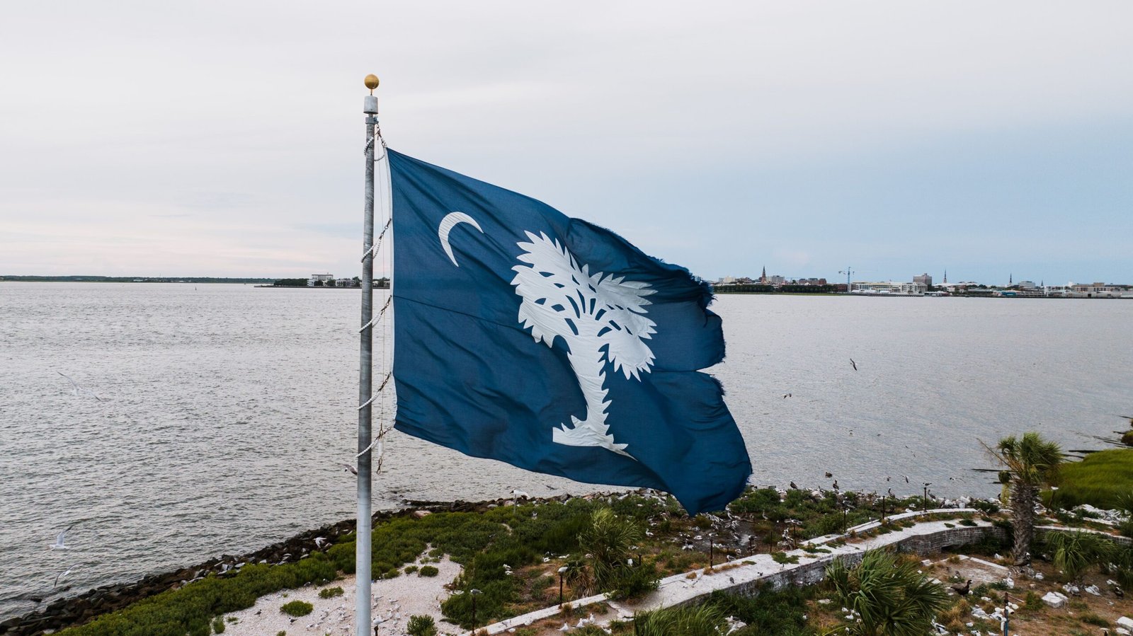 South Carolina land — rolling terrain across the Upstate, Midlands and Lowcountry regions