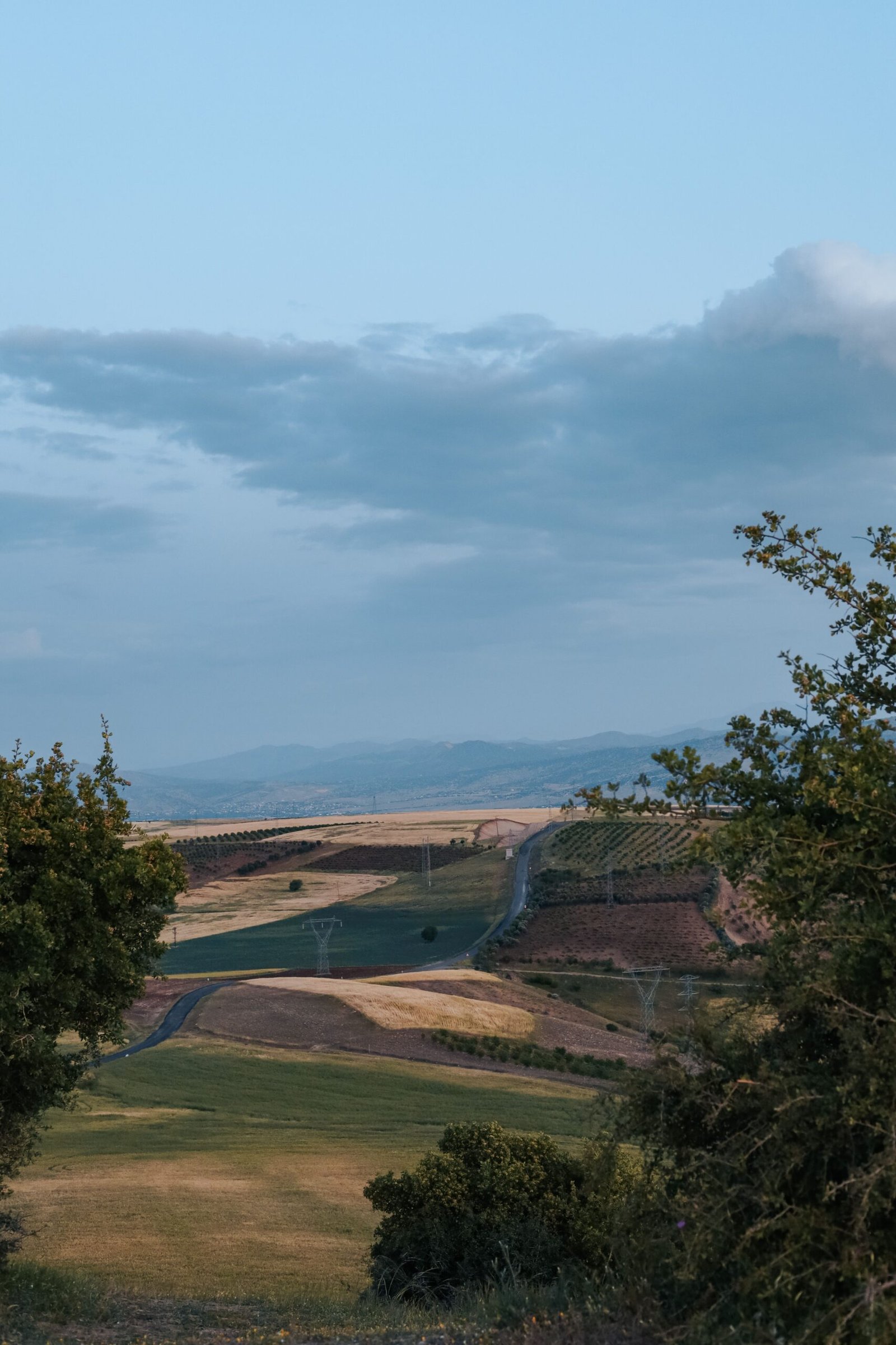 Southern land — open fields and rural landscape
